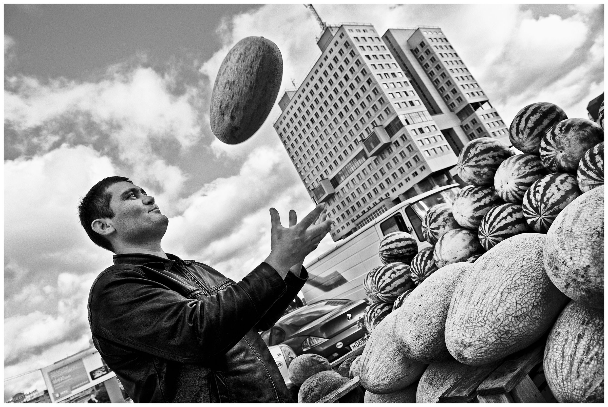 Kaliningrad, Russia. An Asian beetle throws up a melon.