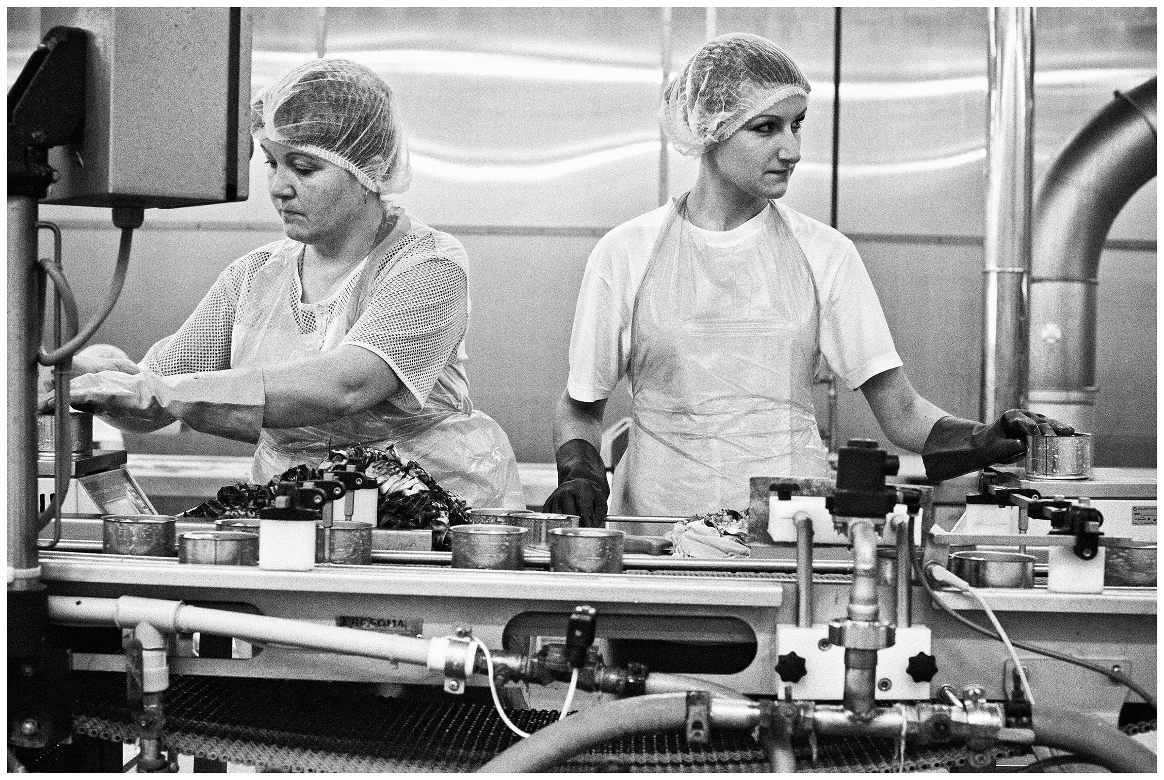 Kaliningrad, Russia. Two women in a fish canning factory standing on a treadmill.