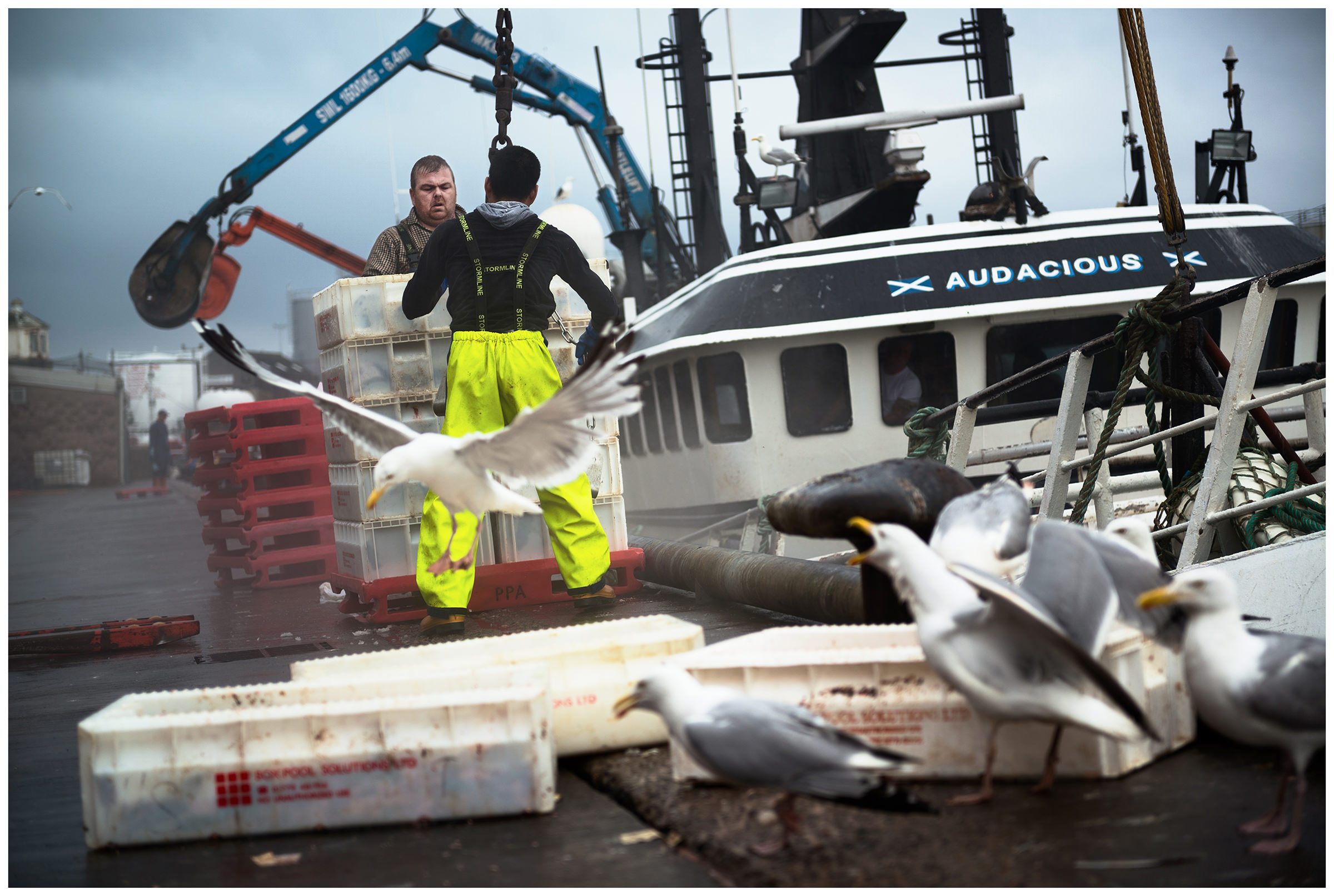 Scotland, Peterhead. Peterhead is known for its fishing port but also for its fish market. Two men unload the boxes of fish.