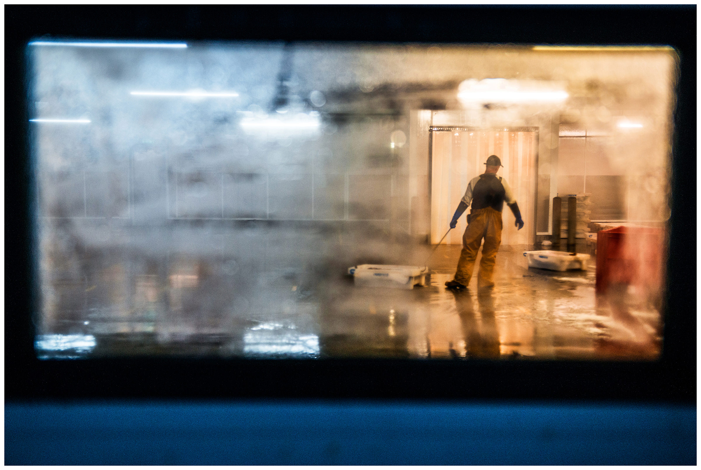 Scotland, Peterhead. A man pushes a box of fish in the fishing port. Late in the evening the fish market preparation begins. The fish is delivered and sorted.