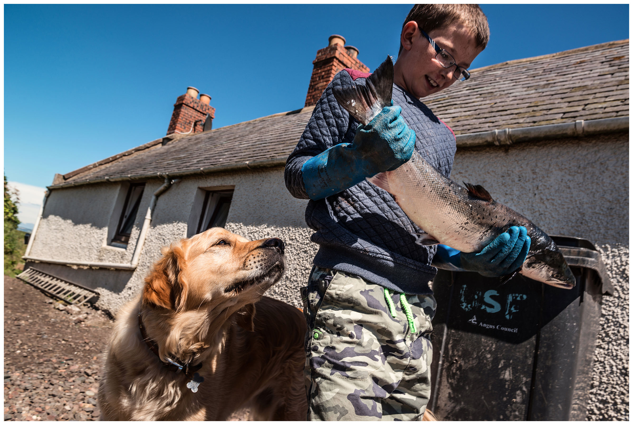Scotland, Usan Montrose. A boy holds a big fish and a dog follows him.