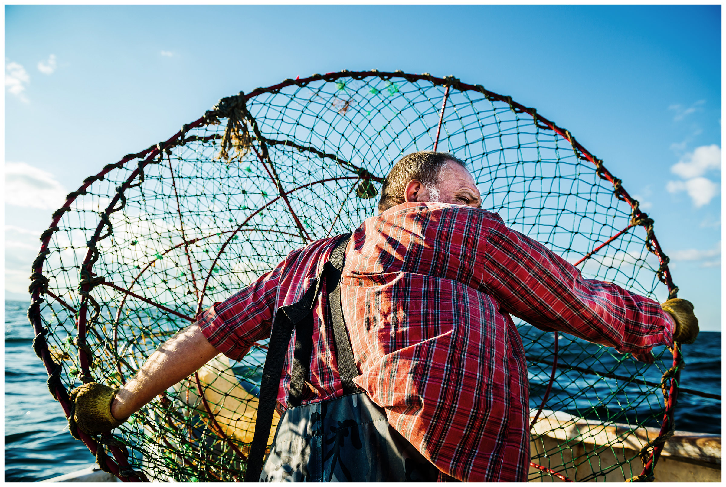 Sea of Japan, Russia. A poacher throws a crab trap overboard.