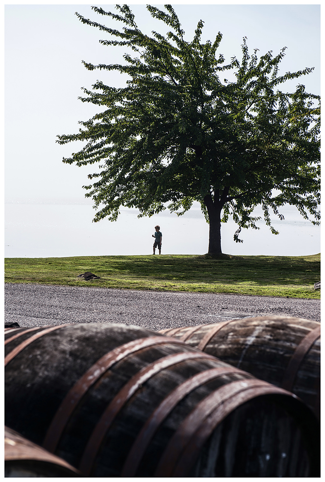 Scotland, Dalmore. The wiskey barrels of the distillery "The Dalmore" are in the yard.