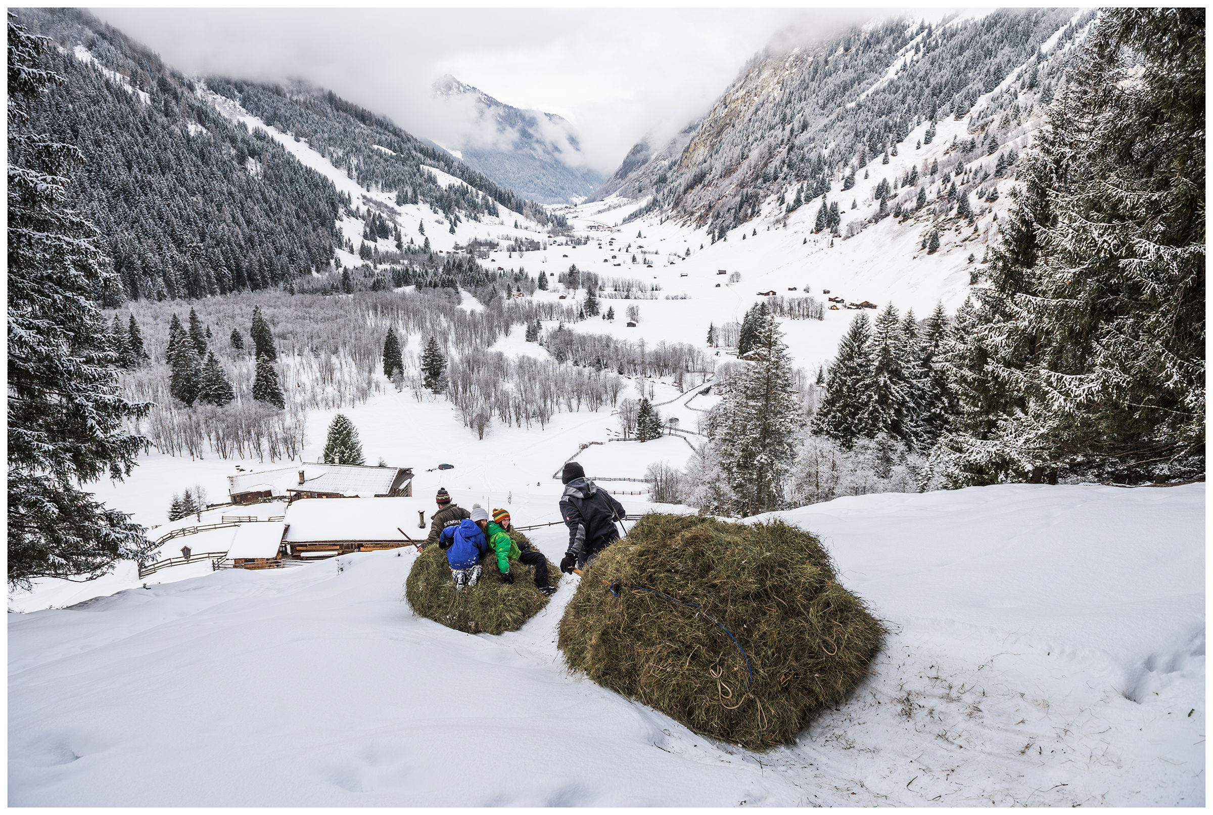 A man with children pulling hay down on the sleigh from a mountain