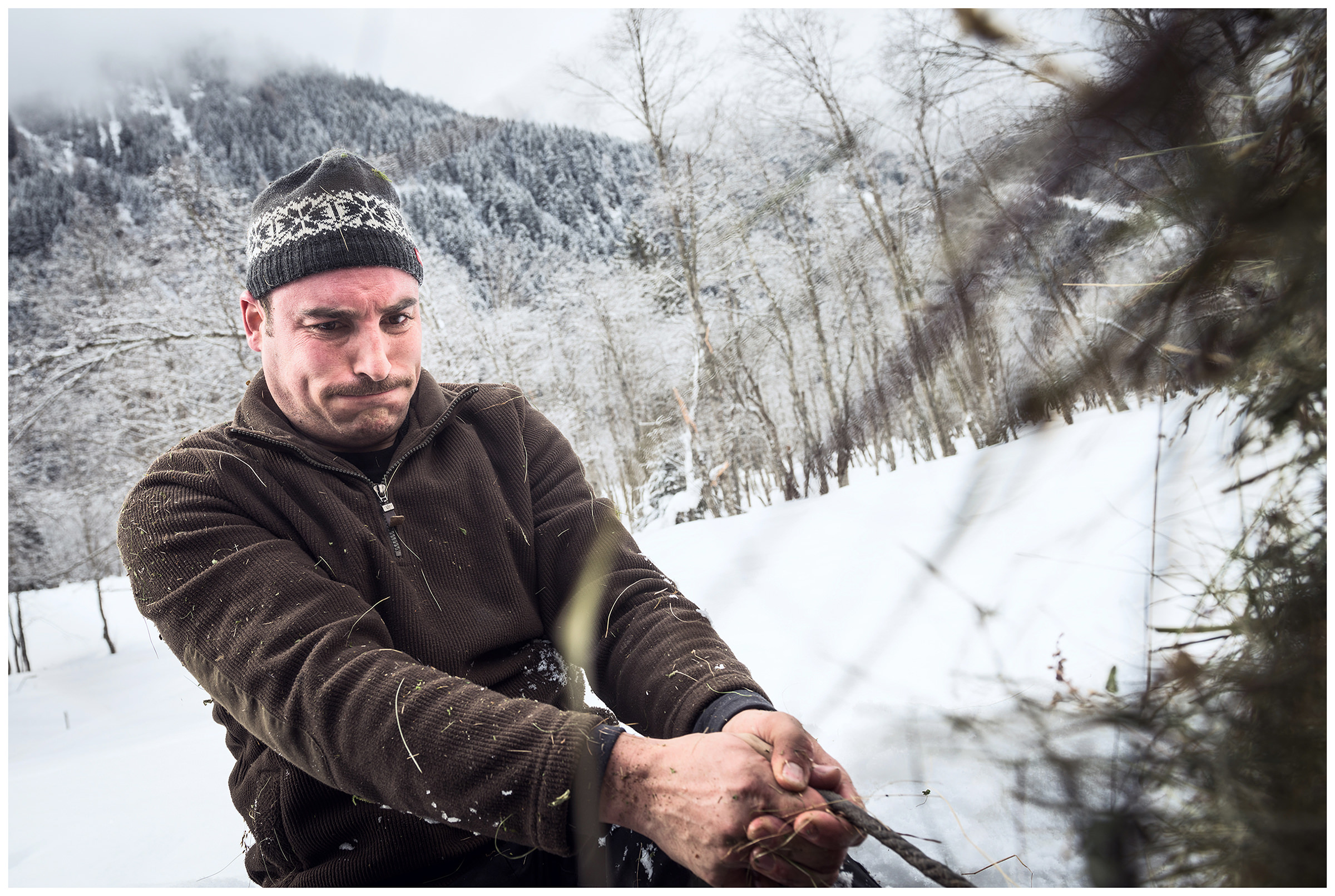 Valsertal, Wipptal, North Tyrol, Austria. A hay puller and farmer pulls the hay again before the sleds are attached to a car as a trailer.