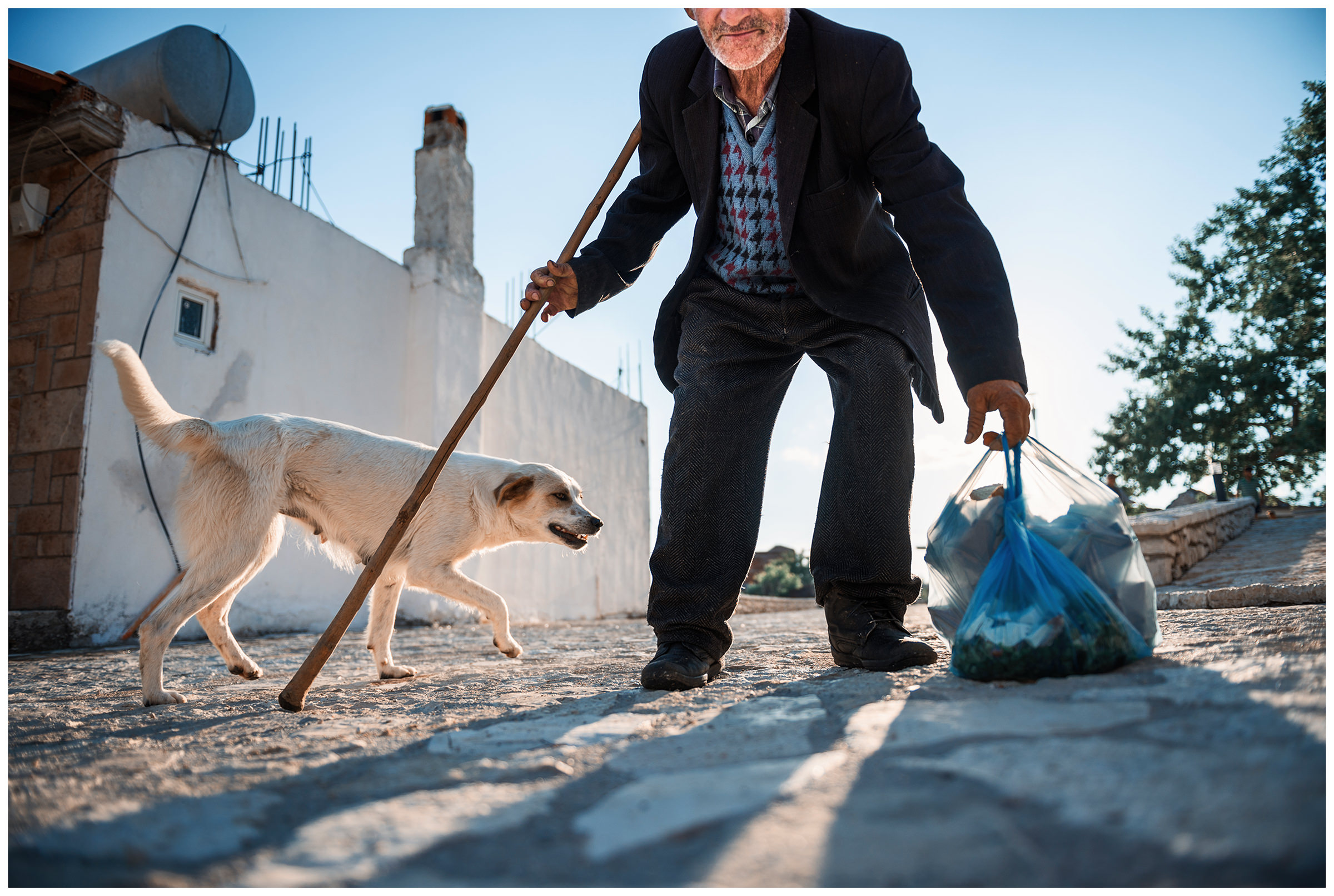 Albania, Pilur. A man with a shepherd's stick and plastic bags stands with his dog on a road from Bergdorf Pilur.