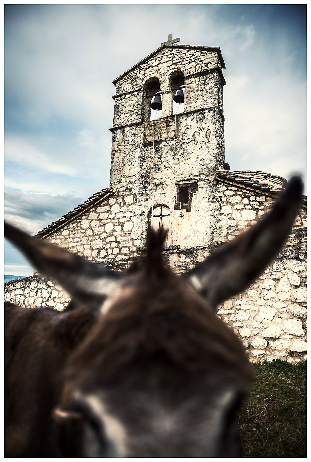Albania, Ksamil. A donkey stands in the courtyard of the St. George monastery.