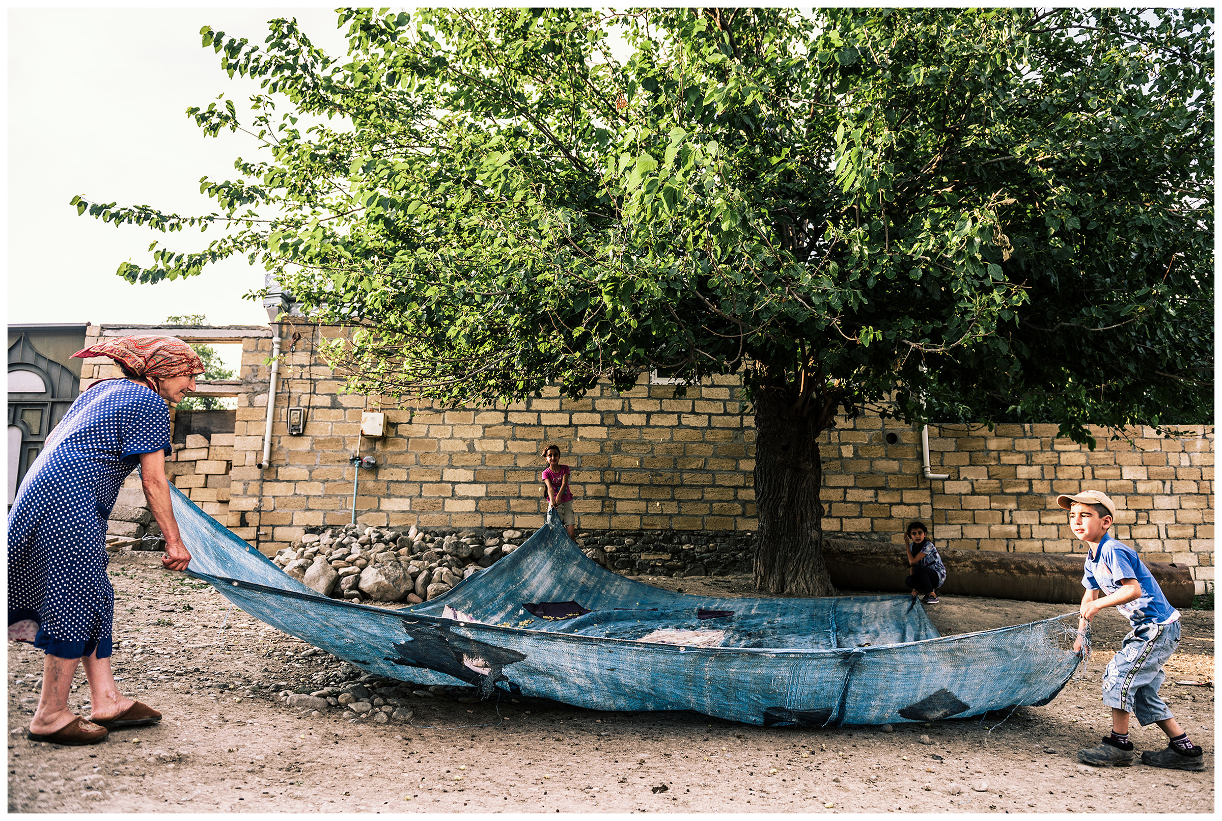 The children collect mulberries together with their grandparents in Tapqaragoyunlu. The village of Tapqaragoyunlu lies on the Armenian-Azerbaijani border and belongs to Azerbaijan. According to the villagers, the village is shot at daily from the Armenian side.