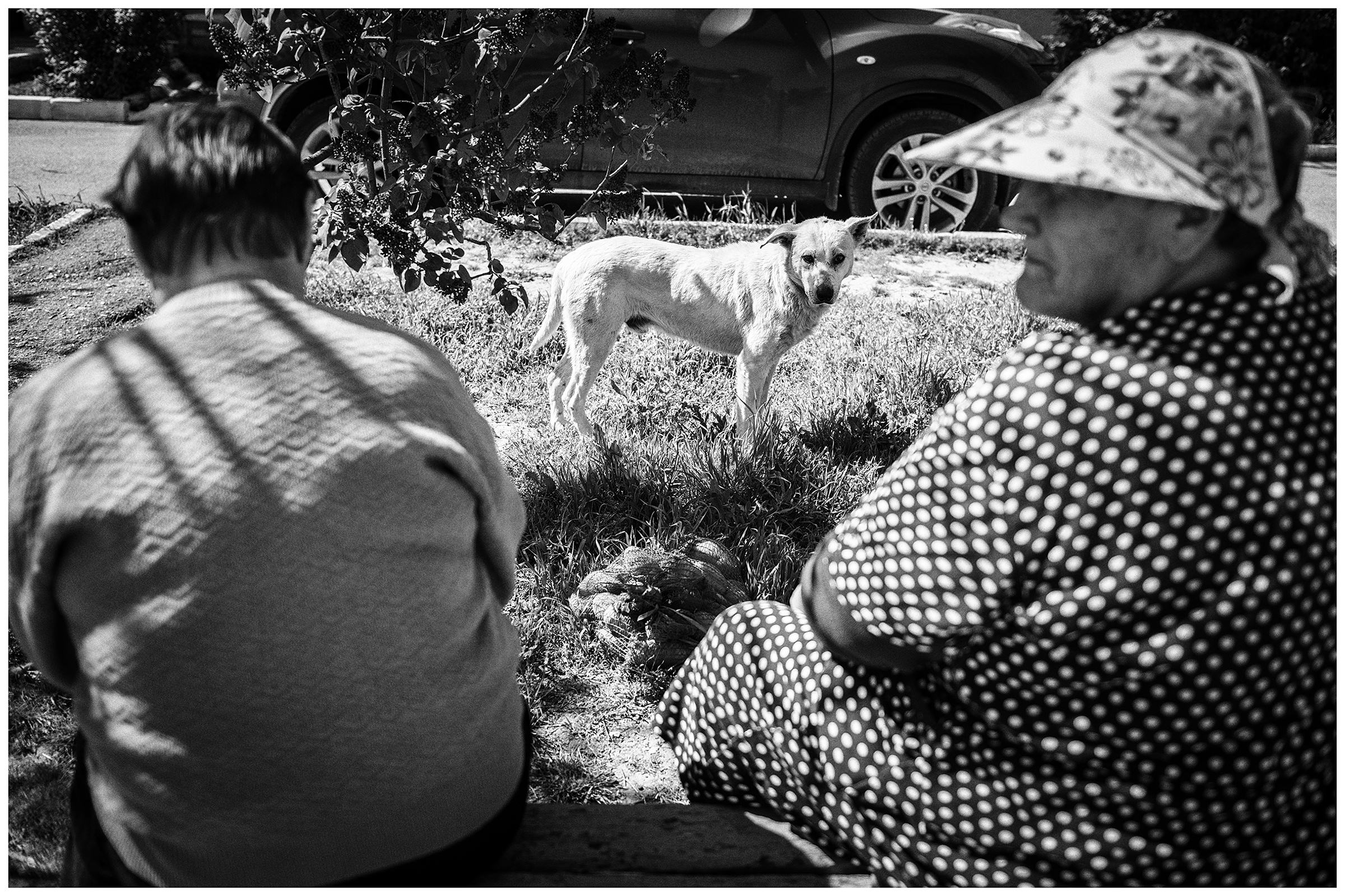 Balaklava, the Crimea. Two women and a dog sitting on a bench.