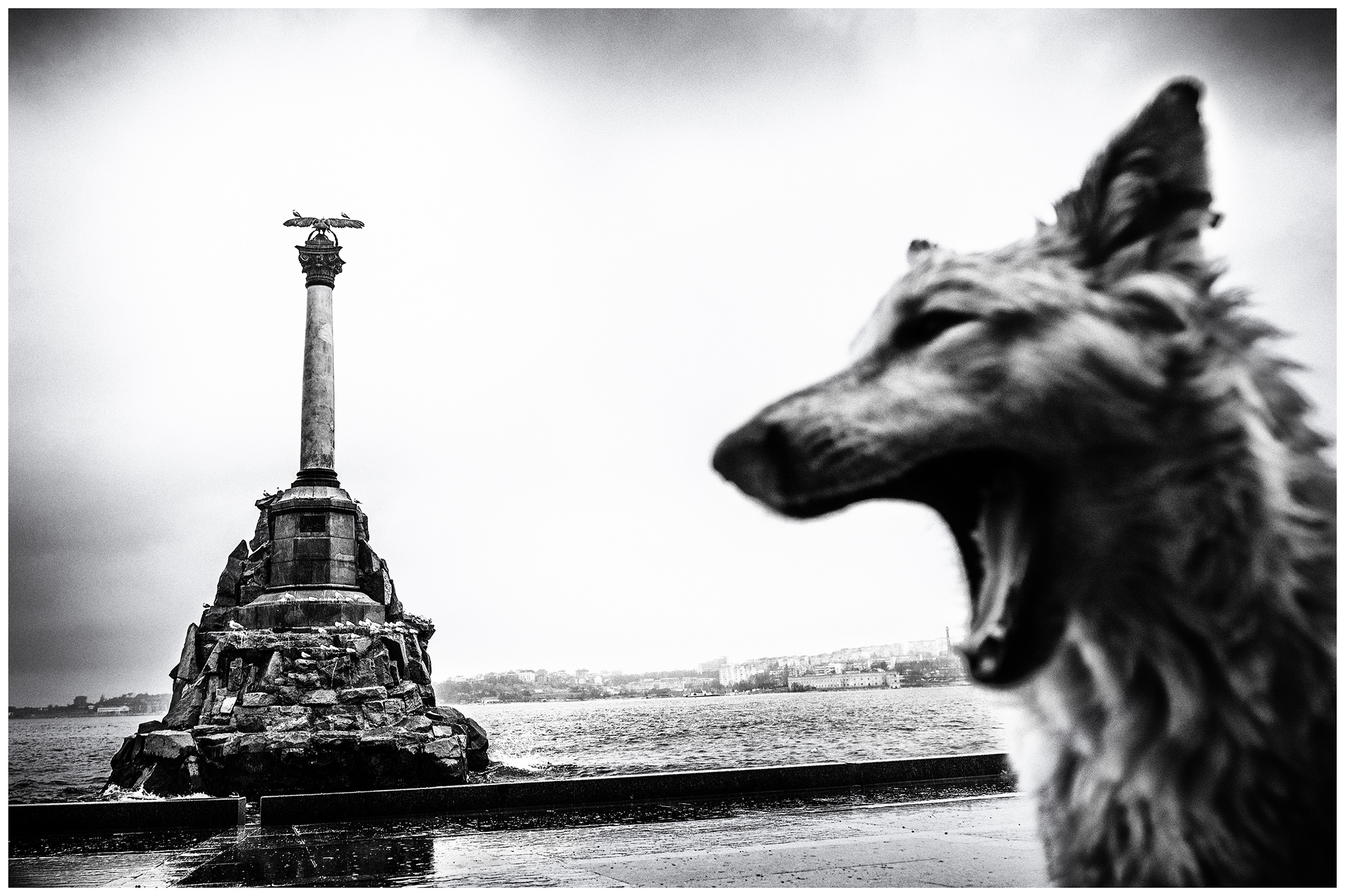 Sevastopol, the Crimea. A stray dog stands in the Sevastopol waterfront in front of the monument to the sunken ships.