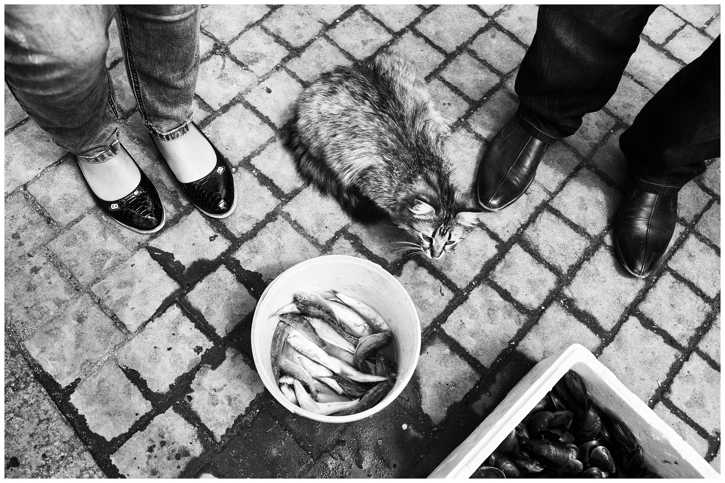 Balaklava, the Crimea. Tourists on the shore of the bay of Balaklava look at fish and shells sold by local fishermen.