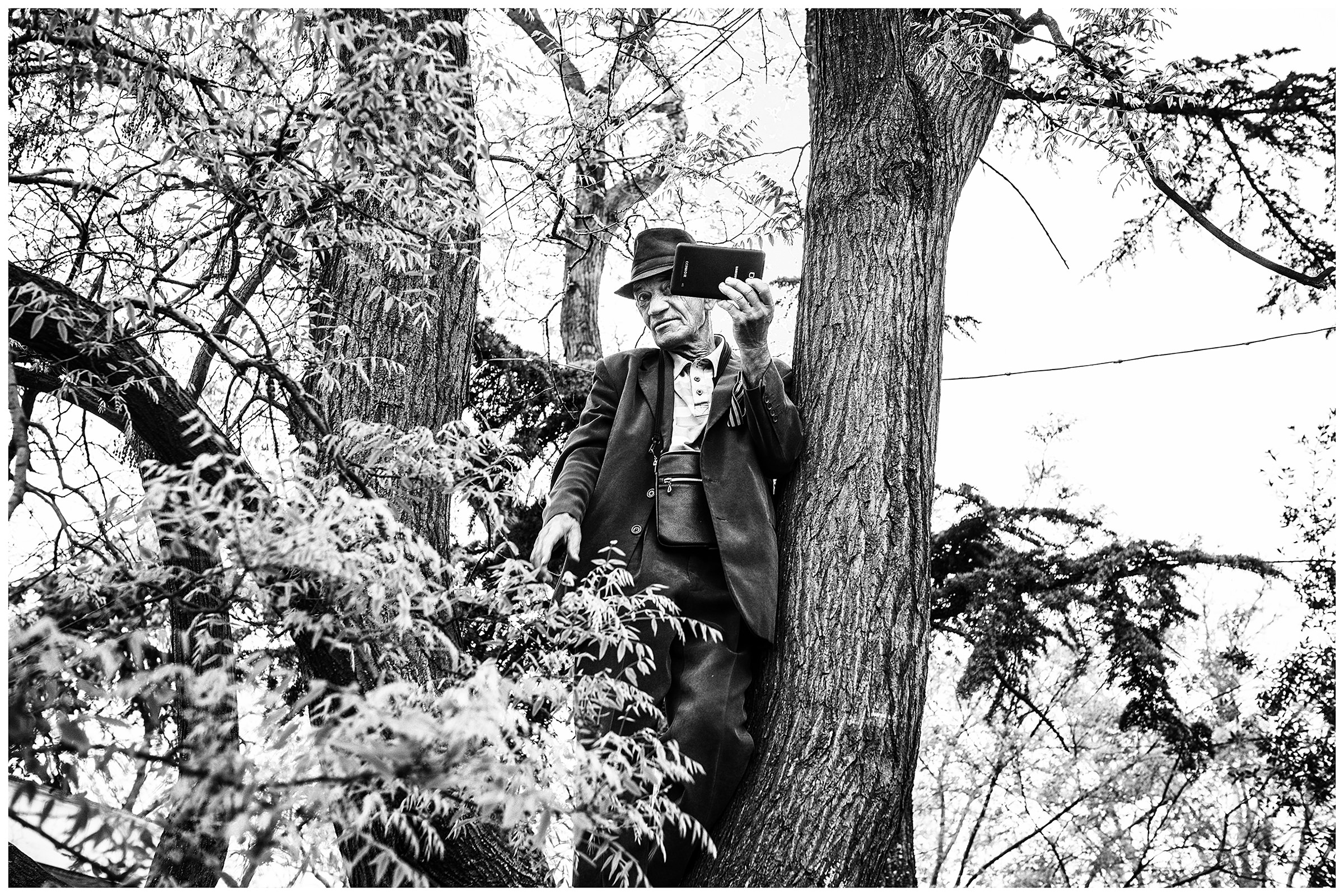 Sevastopol, the Crimea. A spectator stands on a tree and records the military parade. The military parade takes place on the occasion of the victory over Nazi Germany on May 9.