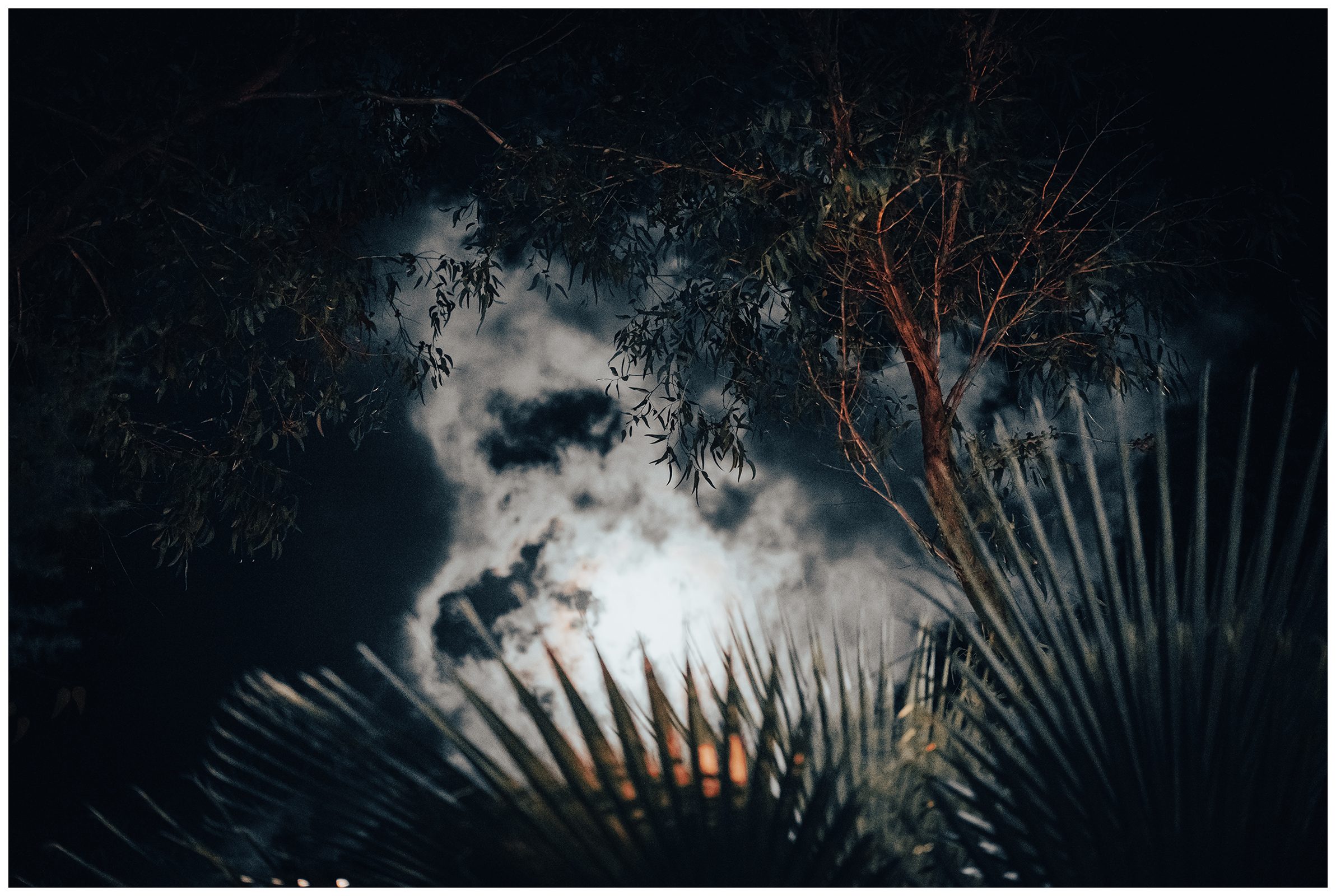 Miliou, Cyprus. The moon shines through a cloud late in the evening with trees in the foreground.