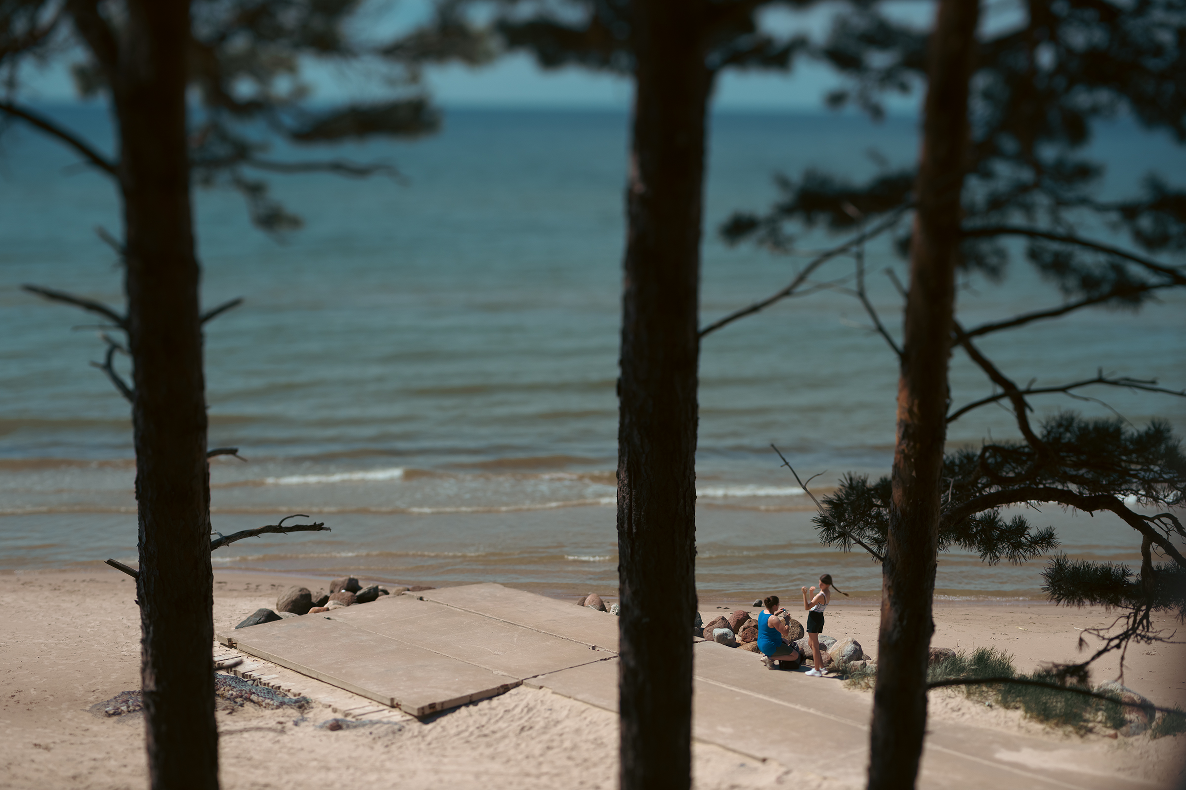 Two people spend time near a concrete ramp on a sandy Baltic Sea beach framed by pine tree trunks in Latvia.