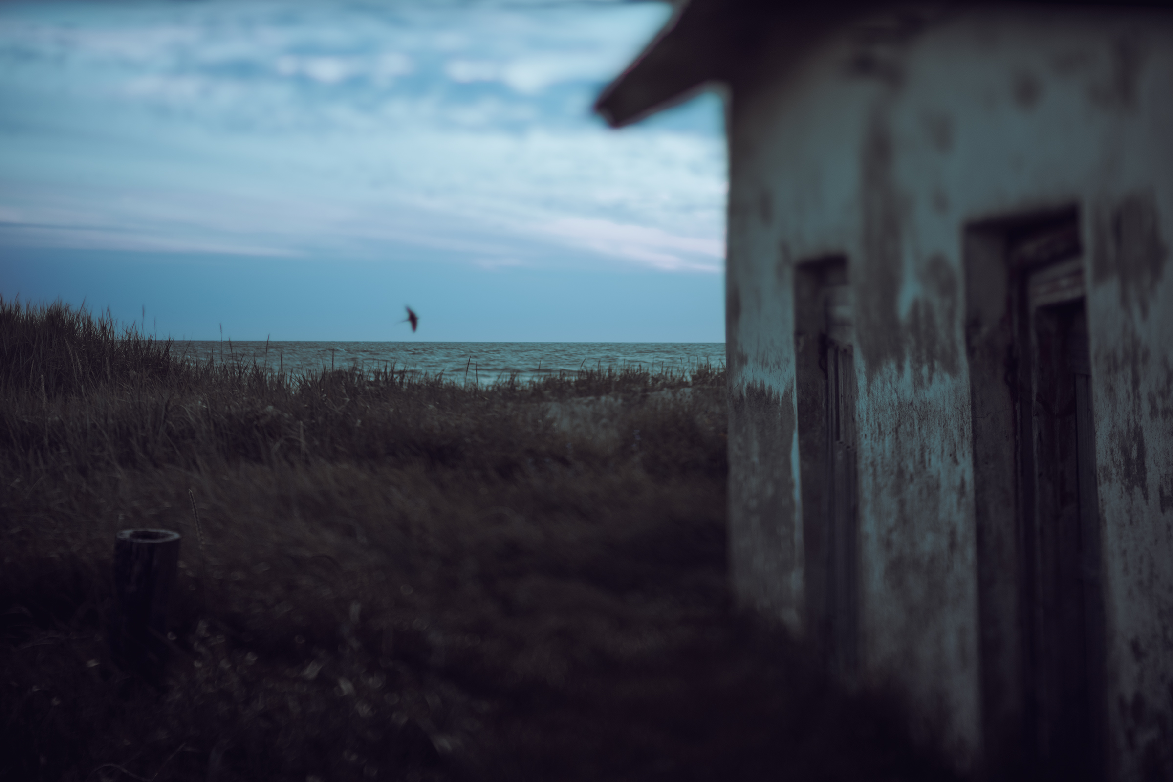 An old weathered building stands in the foreground, with coastal grass and the sea visible under a dim evening sky in Latvia.