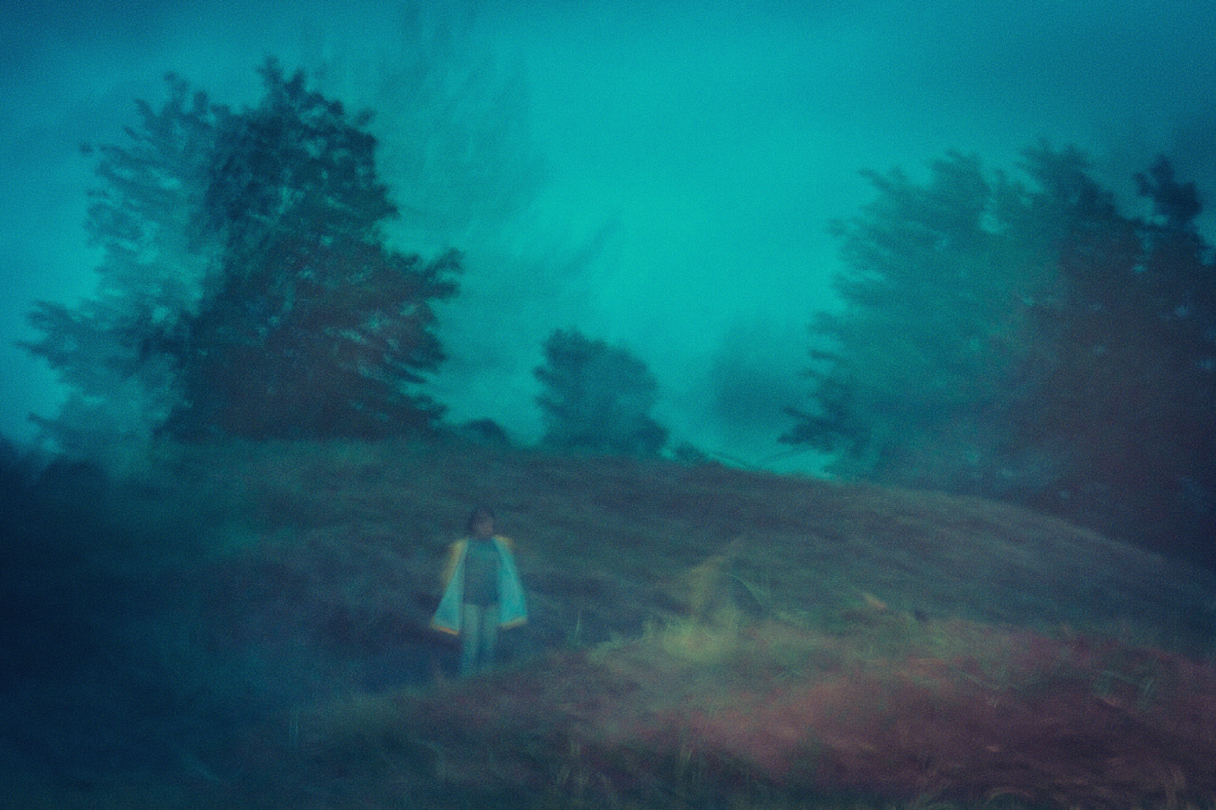 A grainy, twilight image captures a lonely figure in a light jacket standing on a grassy hill surrounded by shadowy trees in Latvia under a deep teal sky.